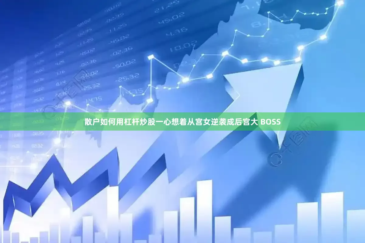 散户如何用杠杆炒股一心想着从宫女逆袭成后宫大 BOSS