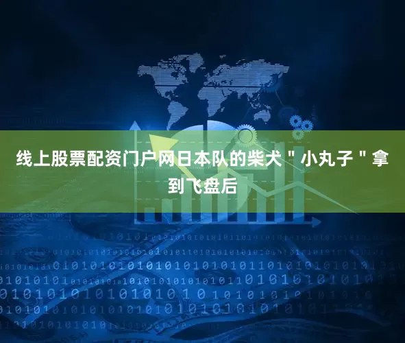 线上股票配资门户网日本队的柴犬＂小丸子＂拿到飞盘后