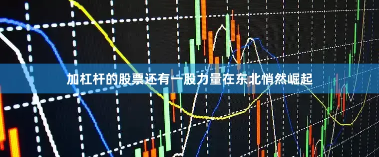 加杠杆的股票还有一股力量在东北悄然崛起